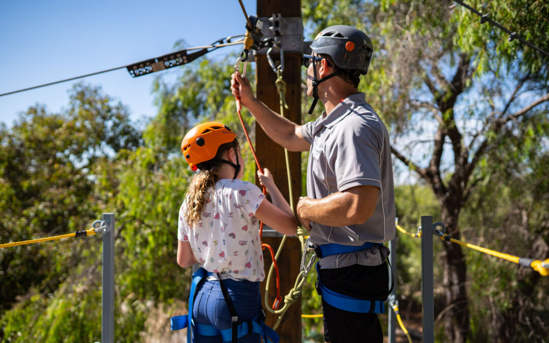 High Ropes Climbing is Back for Summer