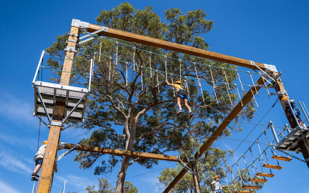 Wintery High Ropes This July
